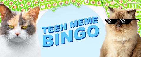 Meme Bingo