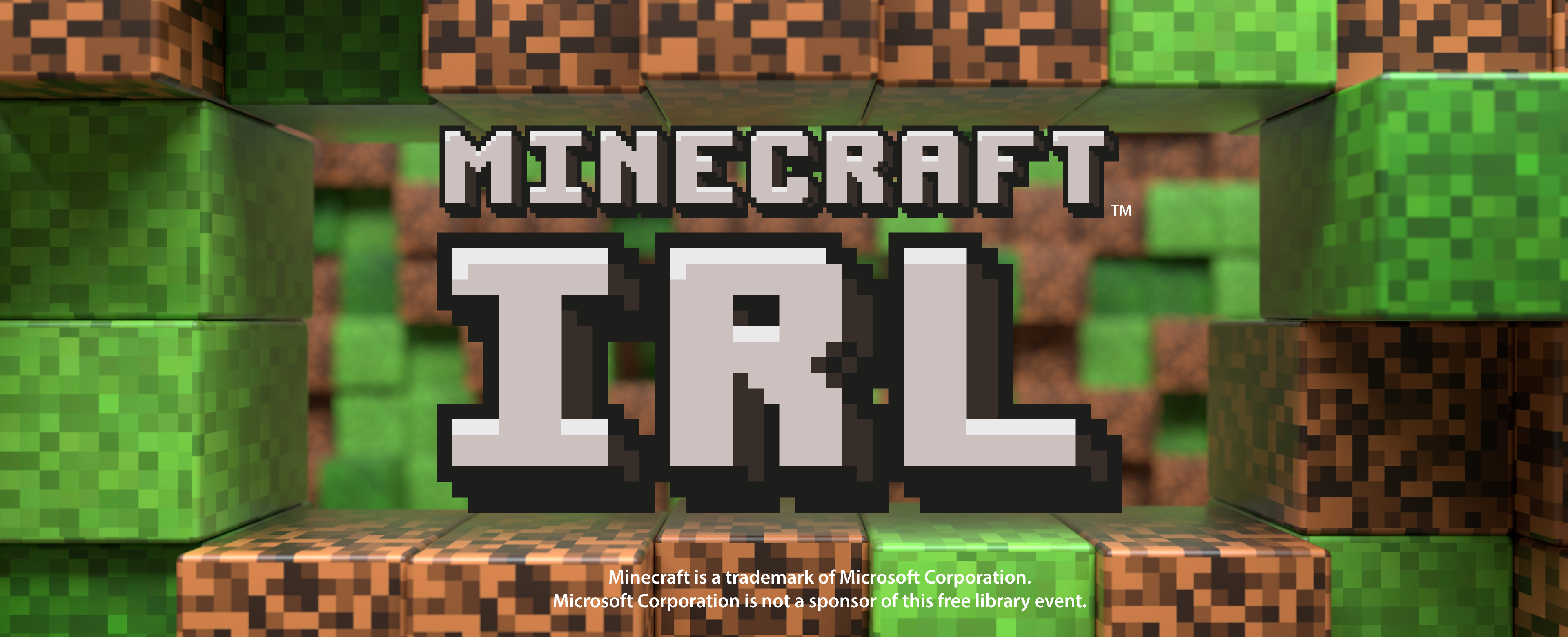 Minecraft IRL