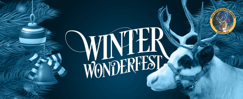 Winter Wonderfest