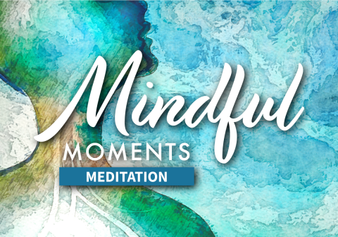 Mindful Moments 