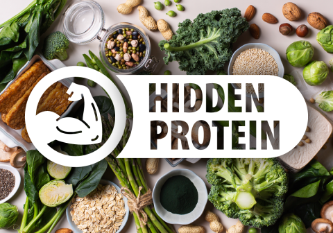 Hidden Protein 