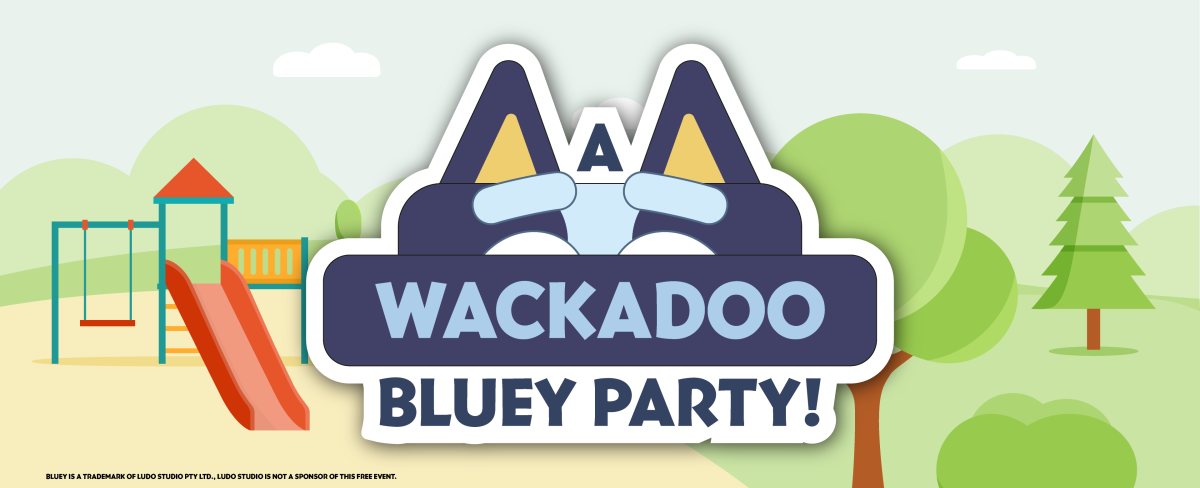 A Wackadoo Bluey Party!