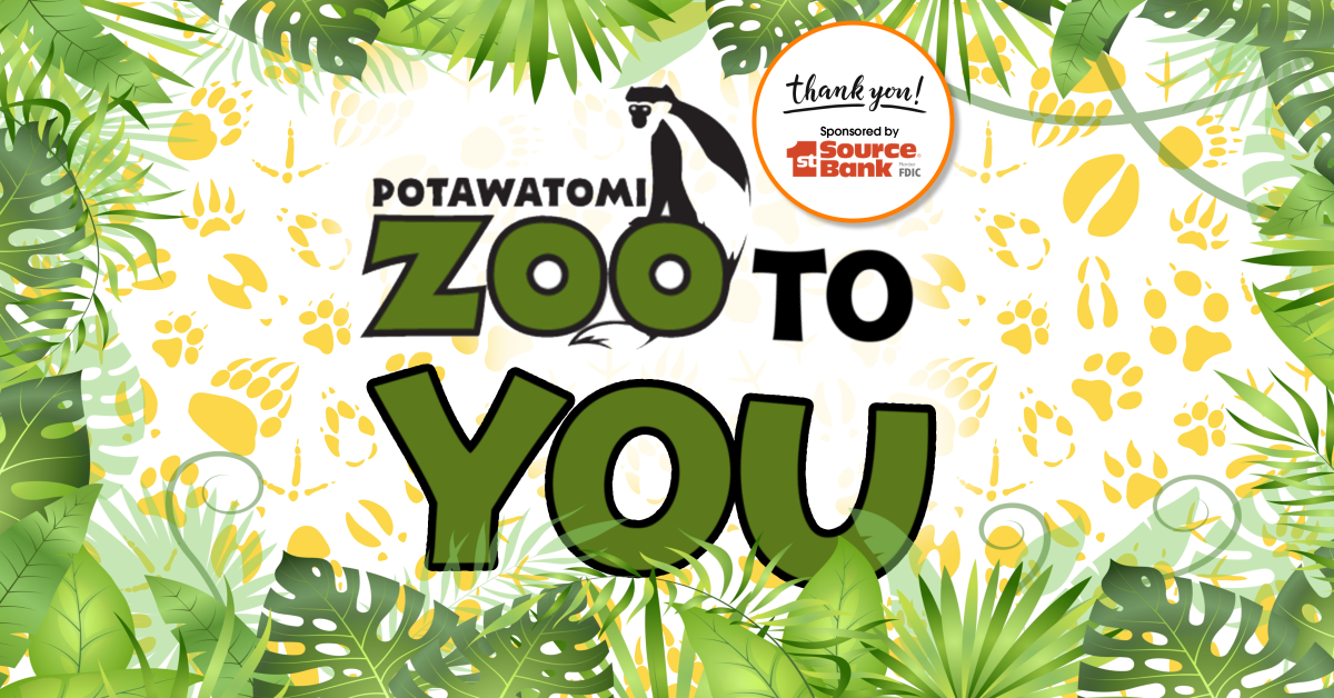 Zoo to You