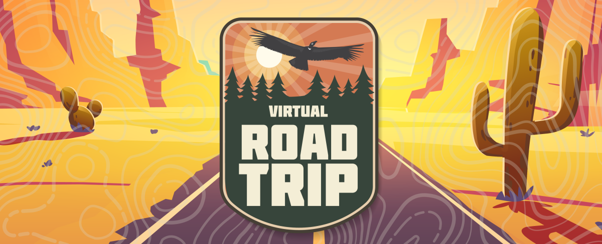 Virtual Road Trip