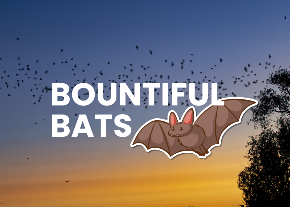 Bountiful Bats